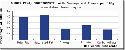 chart to show highest total fat in fat in burger king per 100g